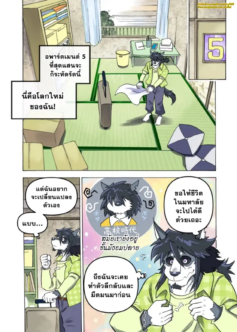 ไมสันบีสต์อพาร์ตเมนต์ 01 - 7