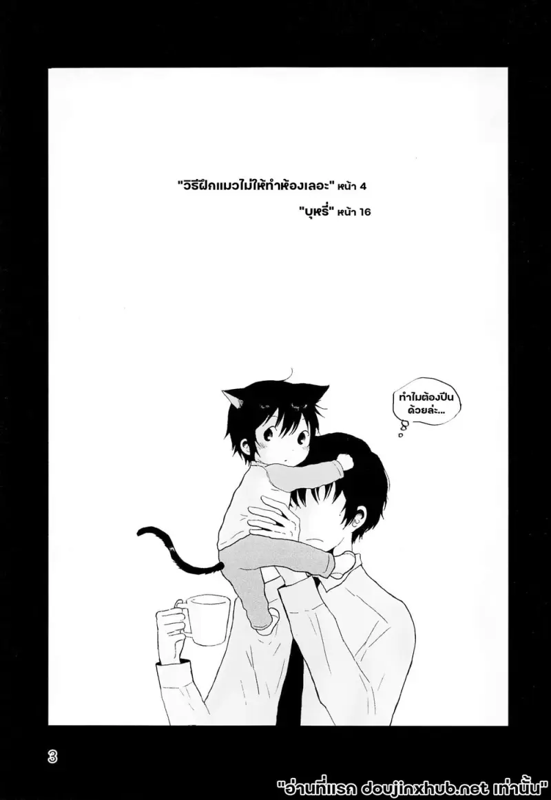 ขนแมวกลิ่นควัน - 2