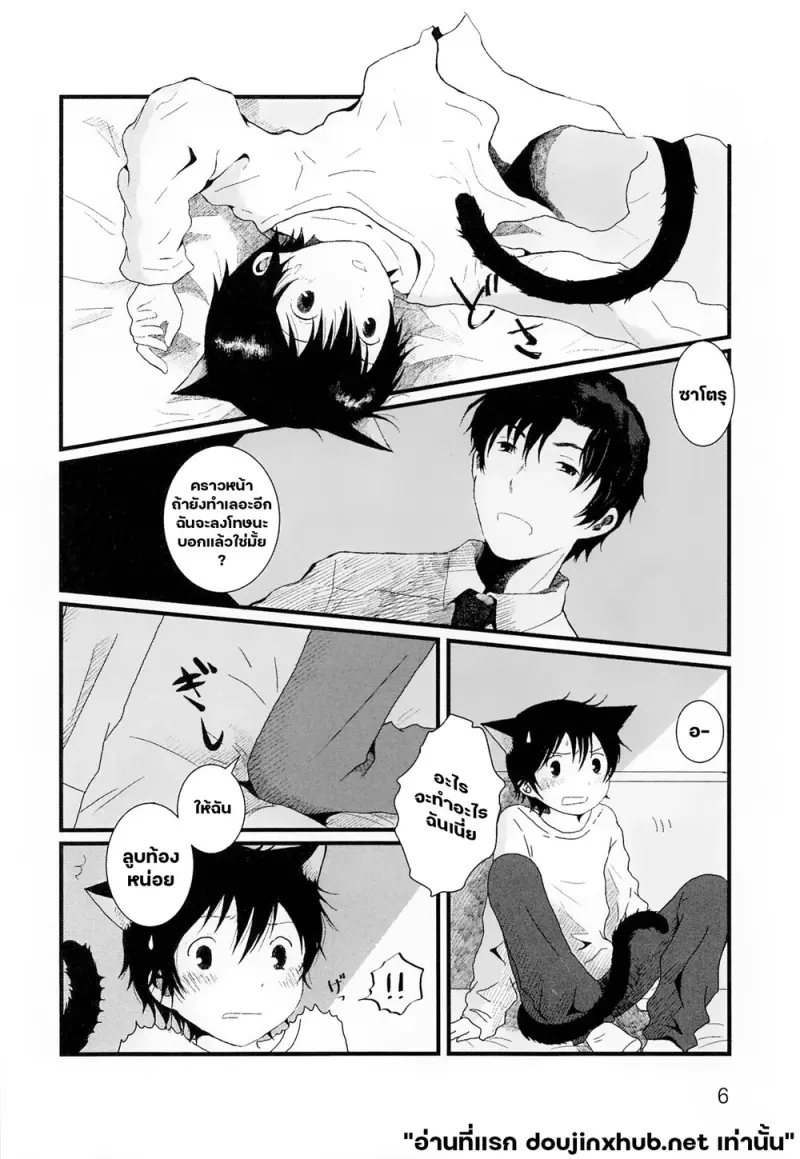 ขนแมวกลิ่นควัน - 5