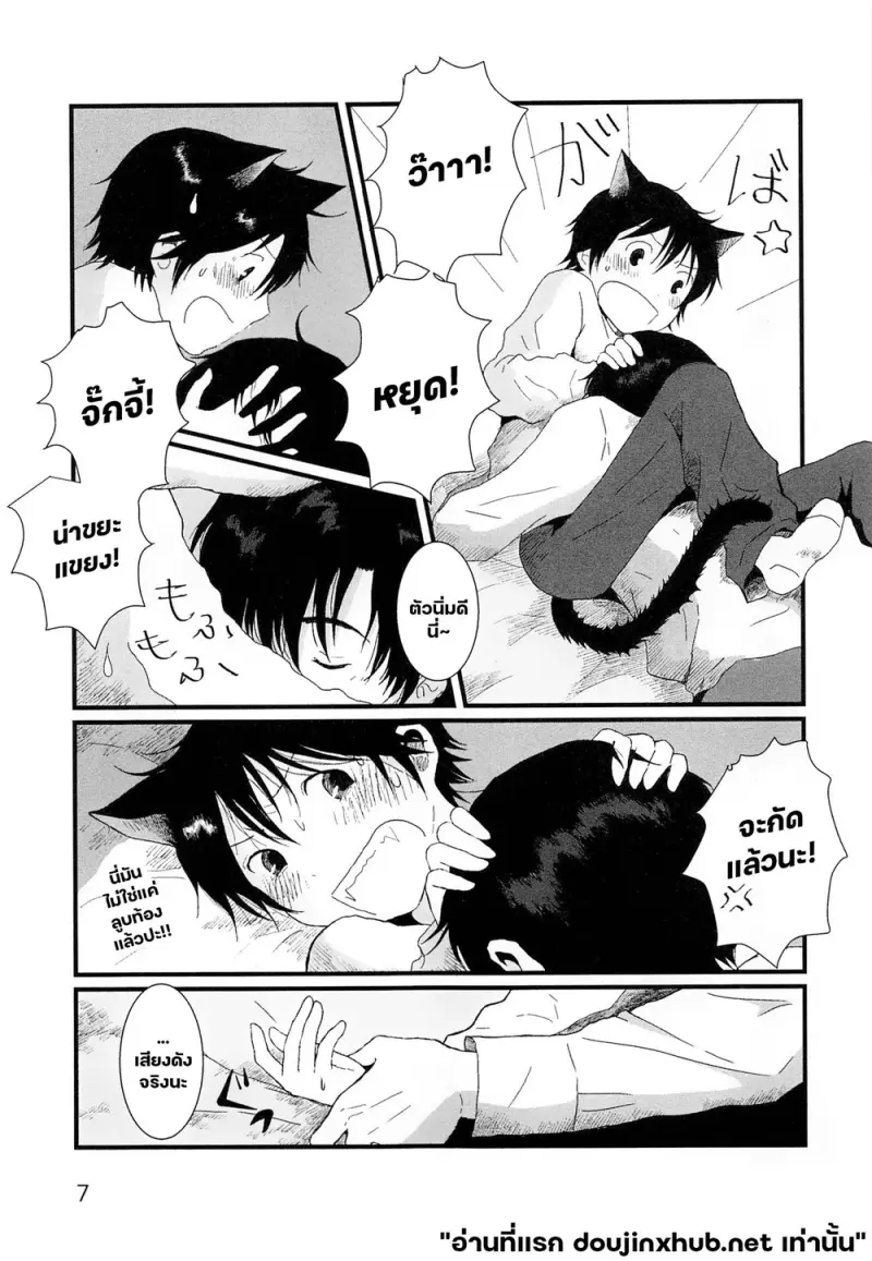 ขนแมวกลิ่นควัน - 6