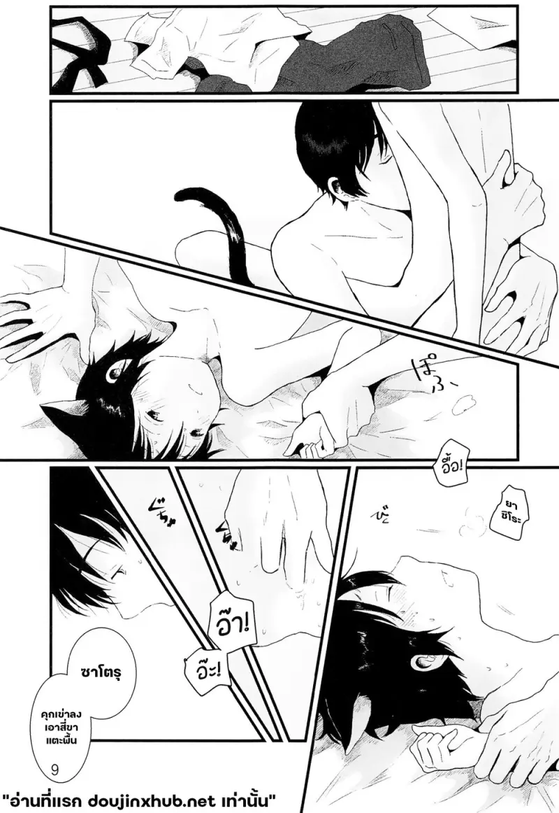 ขนแมวกลิ่นควัน - 8