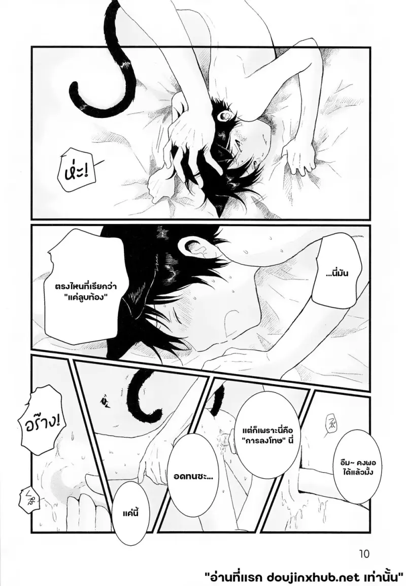 ขนแมวกลิ่นควัน - 9