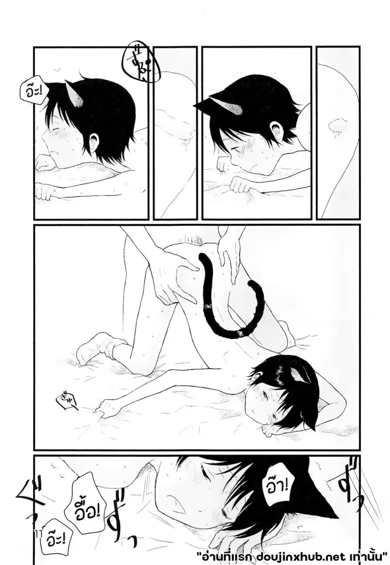 ขนแมวกลิ่นควัน - 10