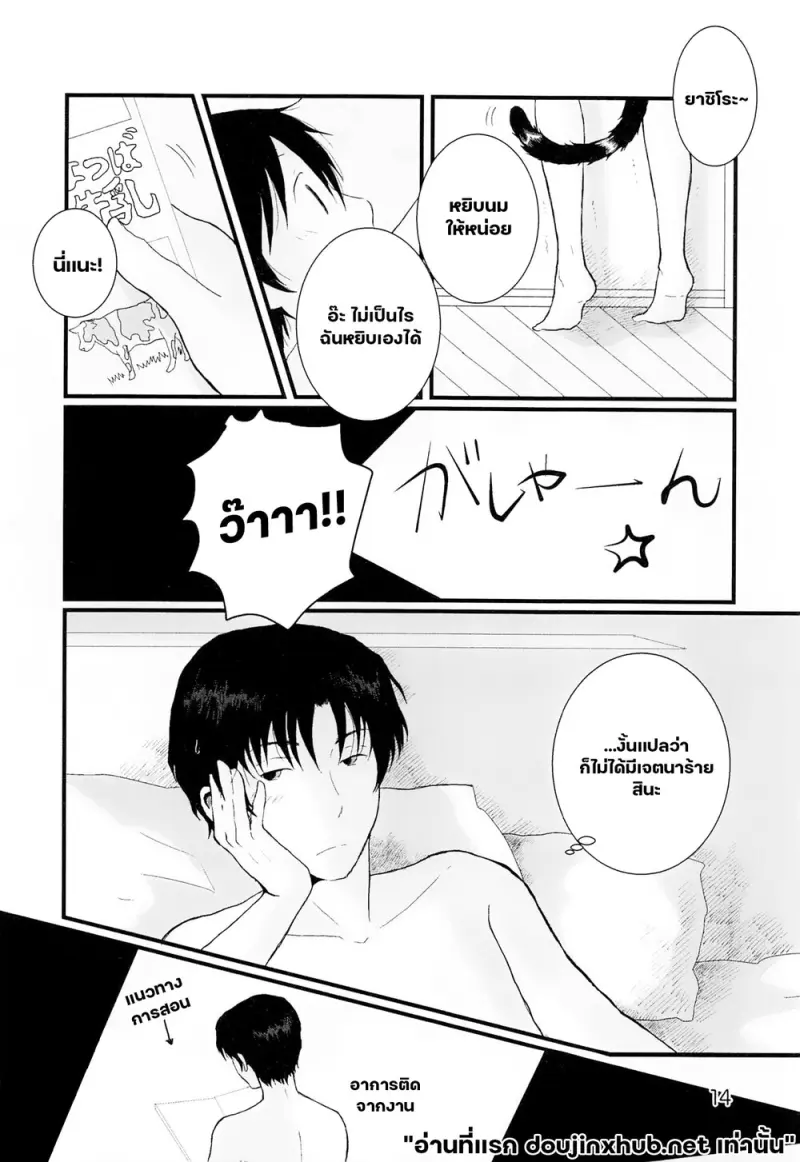 ขนแมวกลิ่นควัน - 13