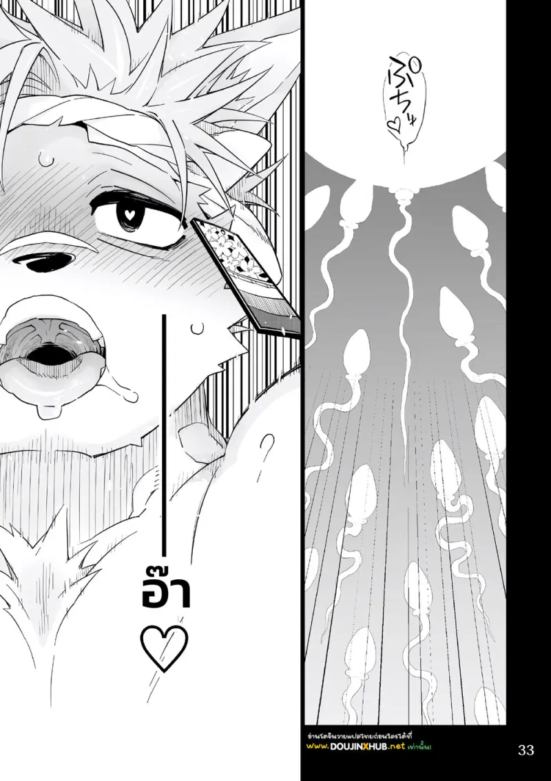 ดนตรีแห่งงานเทศกาล - 32