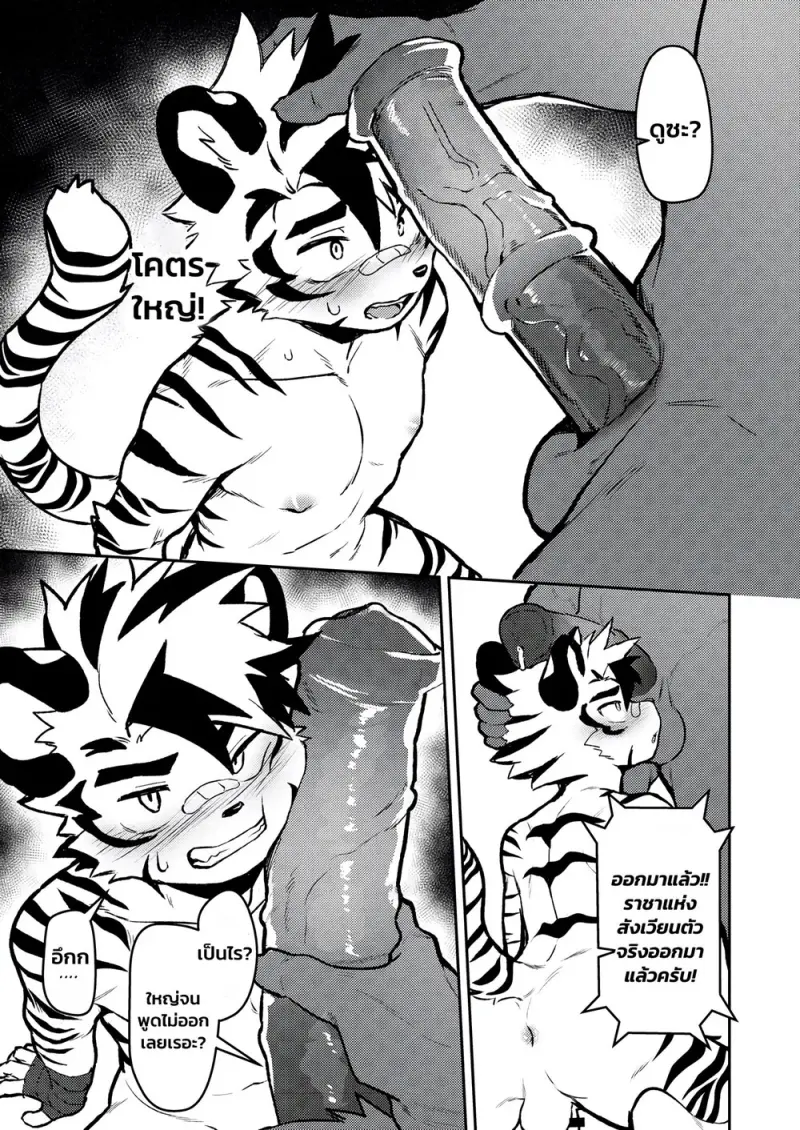 สังเวียนมวยปล้ำ - 12