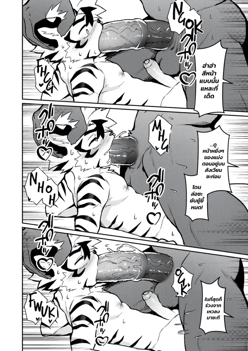 สังเวียนมวยปล้ำ - 15