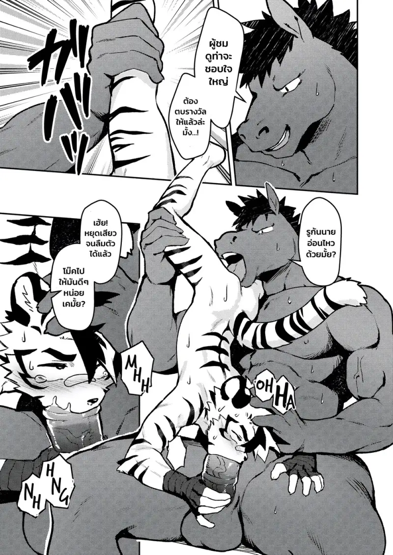 สังเวียนมวยปล้ำ - 16