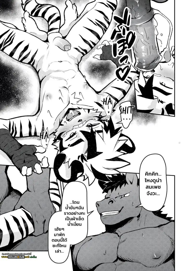 สังเวียนมวยปล้ำ - 18
