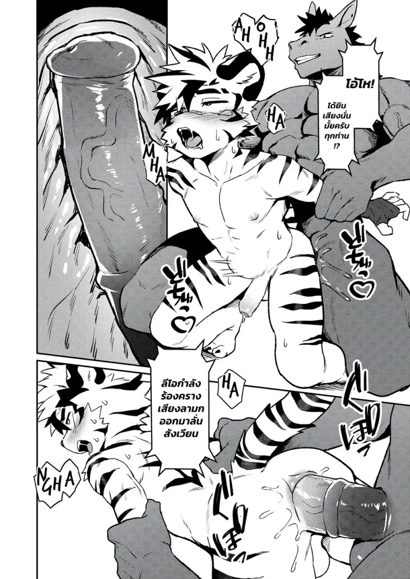 สังเวียนมวยปล้ำ - 21