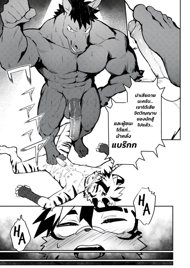 สังเวียนมวยปล้ำ - 30