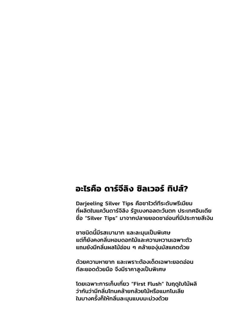 ทำทุกอย่างได้เพื่อนายท่าน - 8