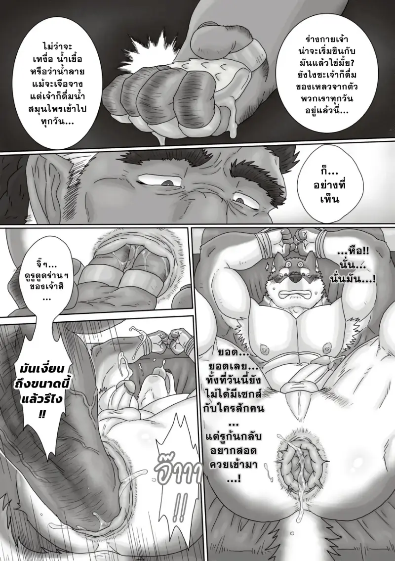 ตามหาสมุนไพร 02-29.jpg