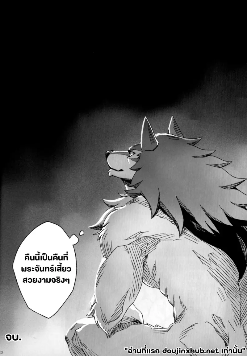 หมาป่าสีเงิน - 17