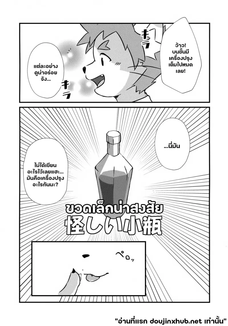 เครื่องปรุงรสลับ - 4