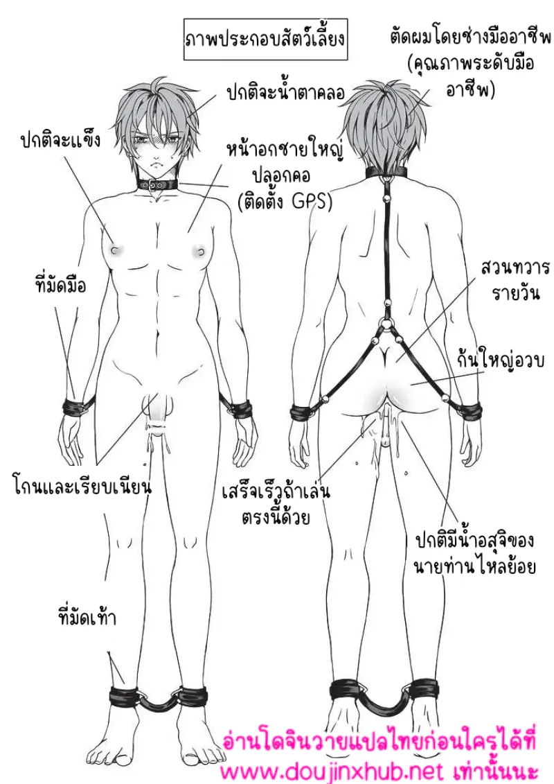ไม่มีชื่อ 17451.png