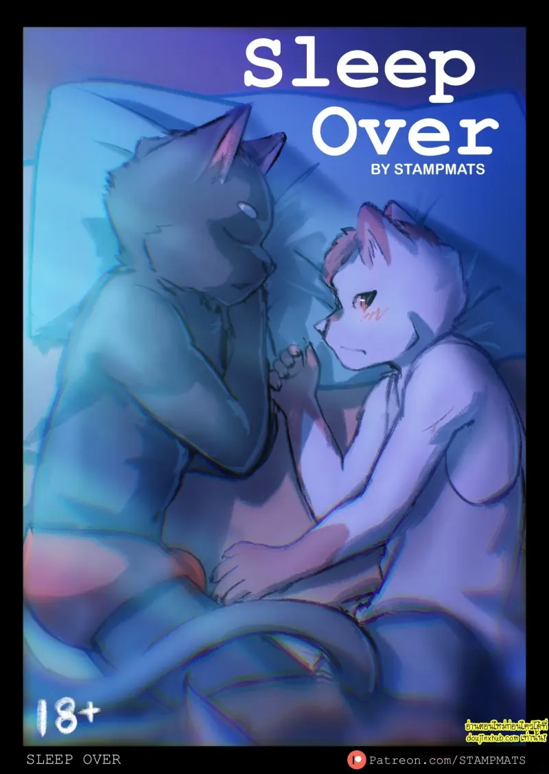 Sleep over 001.jpg