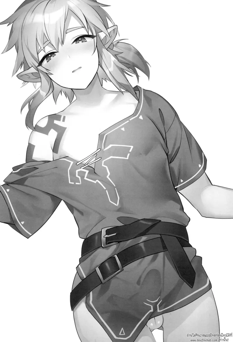 The Legend of Link 003.jpg