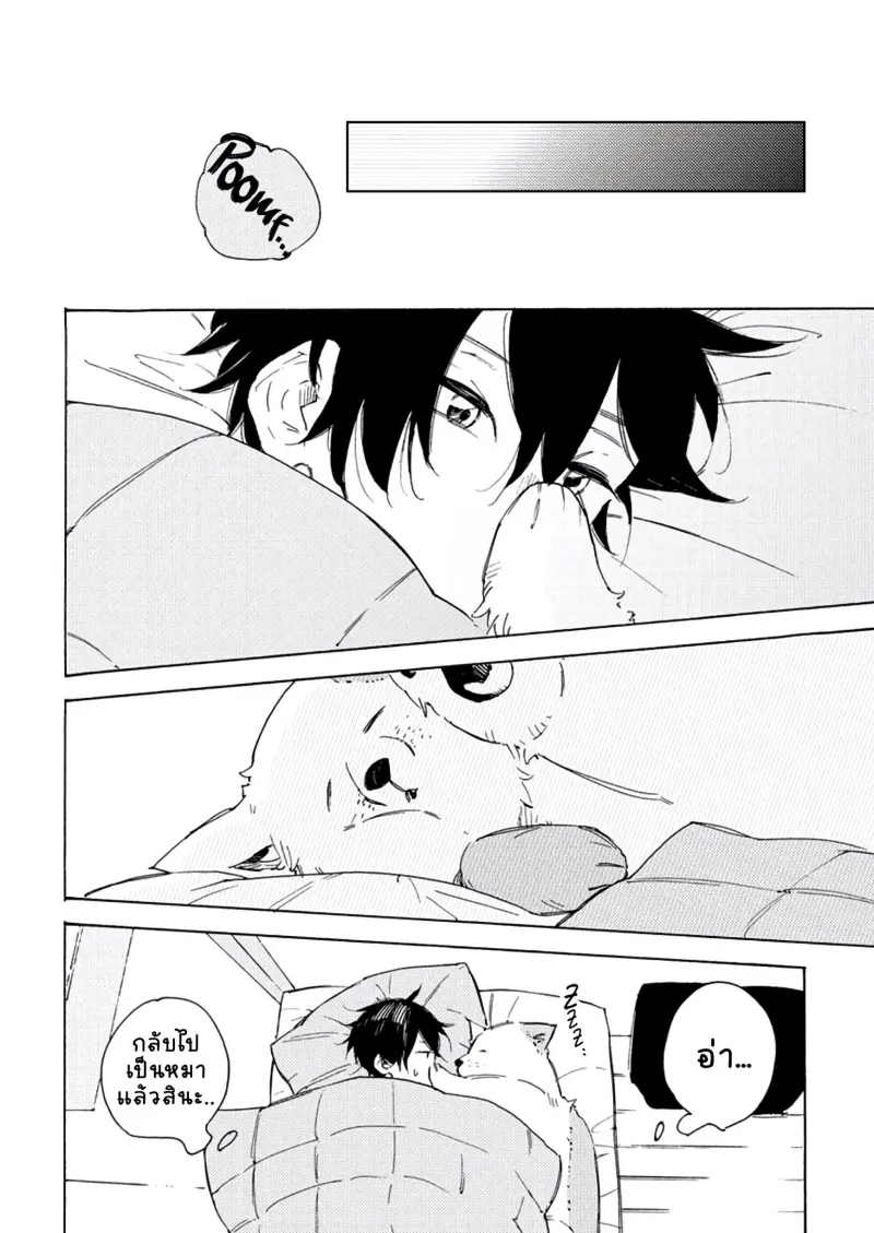 สุนัขของผม 2-1.jpg