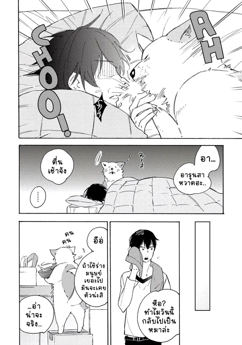 สุนัขของผม 2-3.jpg