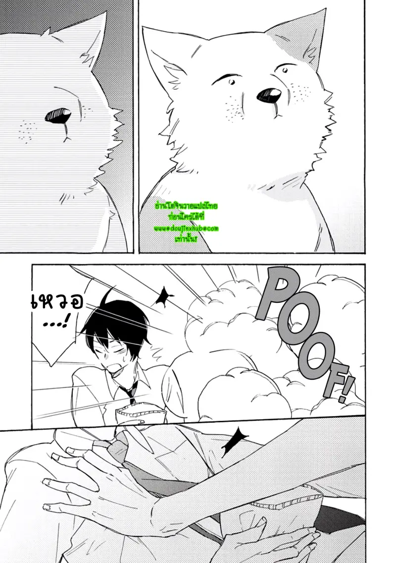 สุนัขของผม 2-18.jpg