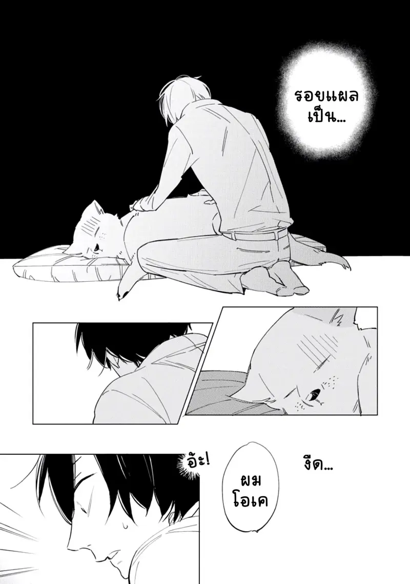 สุนัขของผม 2-27.jpg