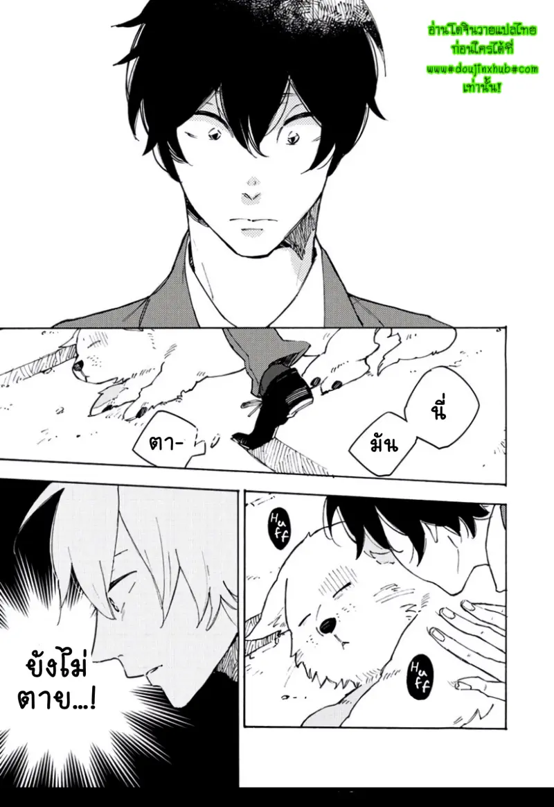สุนัขของผม 1-6.jpg