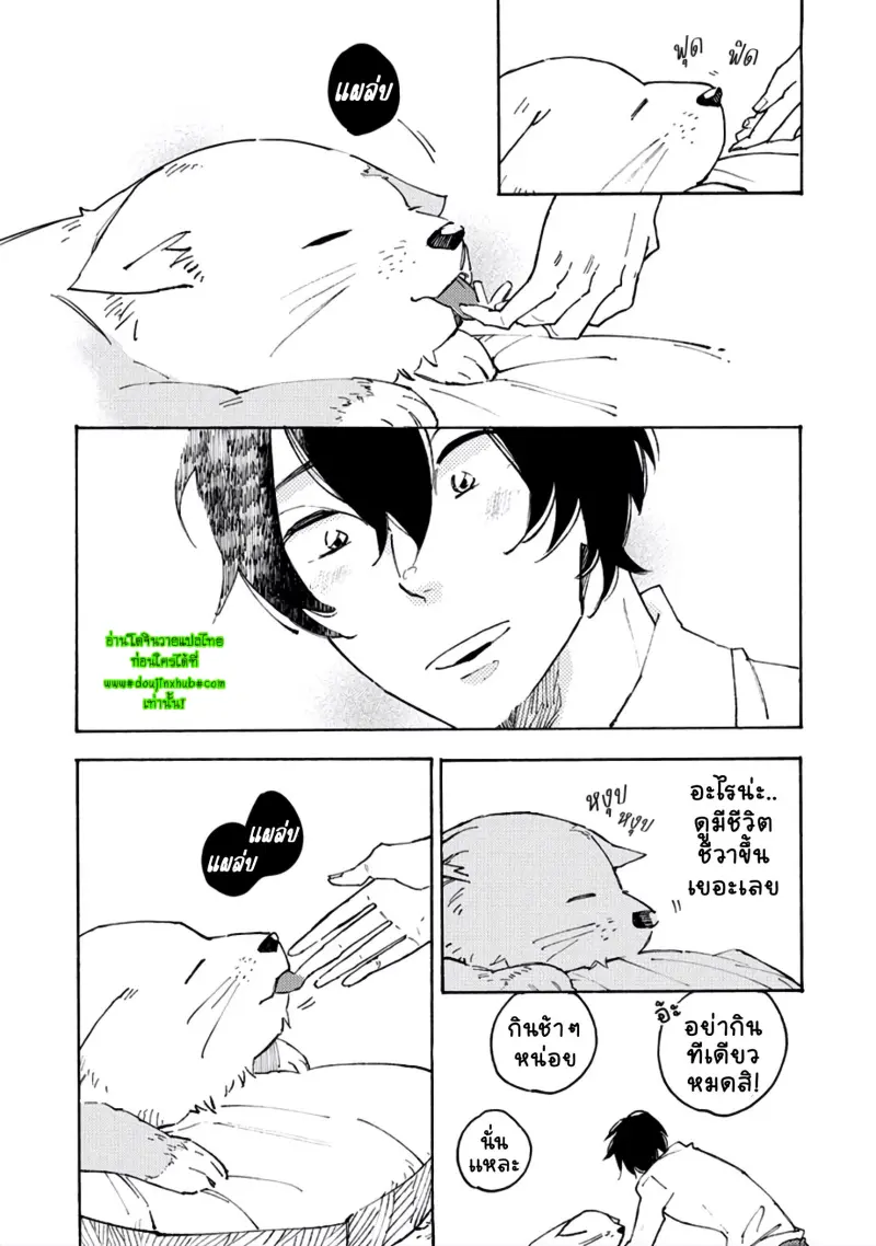 สุนัขของผม 1-10.jpg
