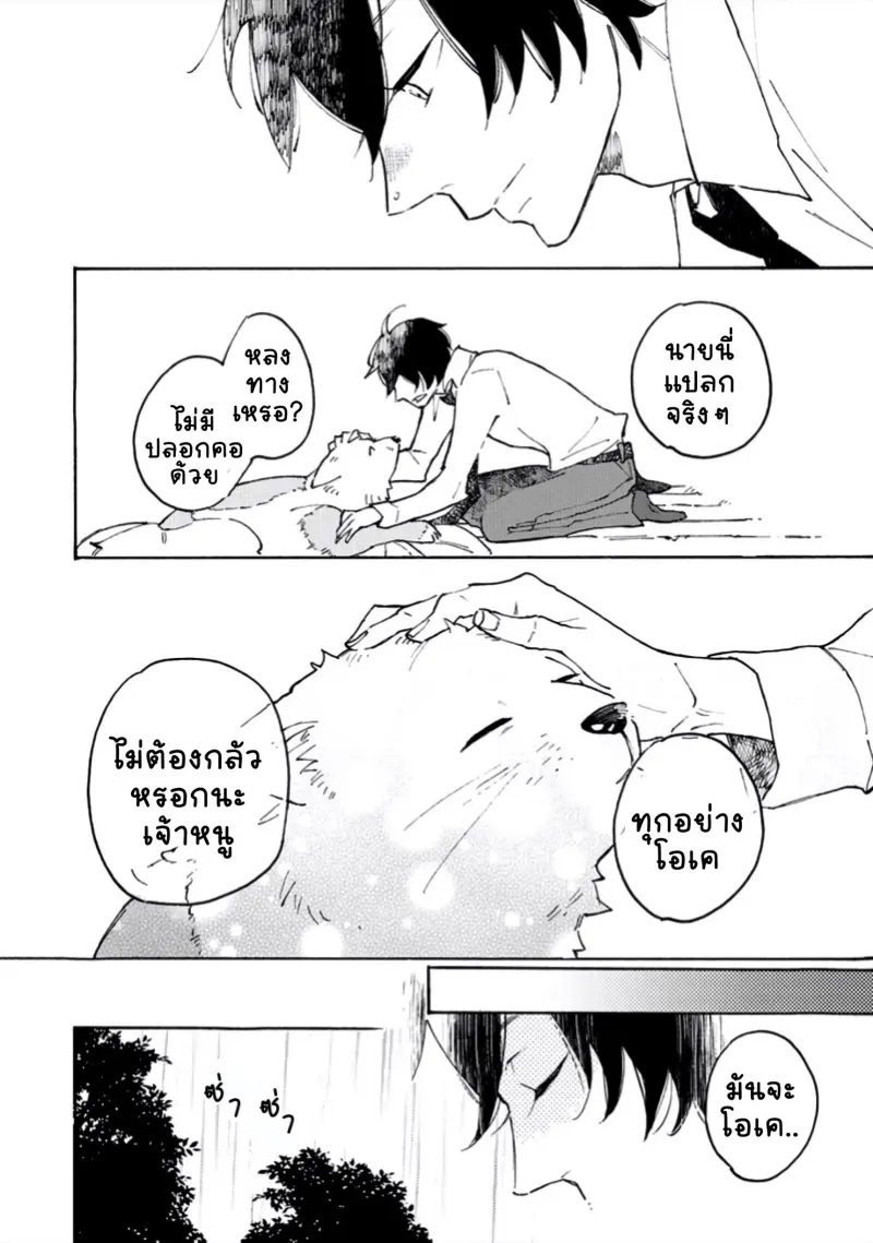 สุนัขของผม 1-11.jpg