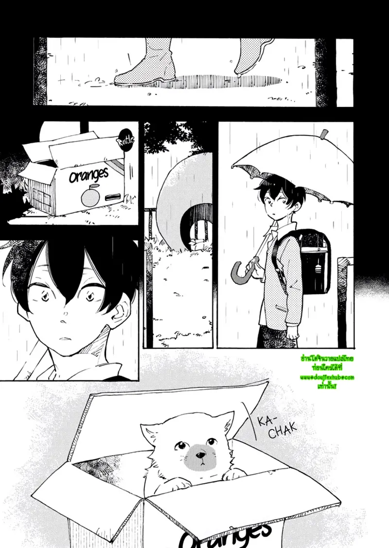 สุนัขของผม 1-12.jpg