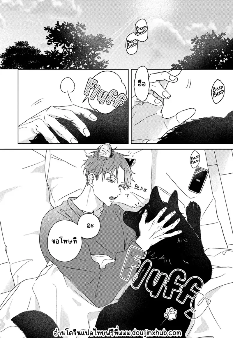 Sans titre 20116.png