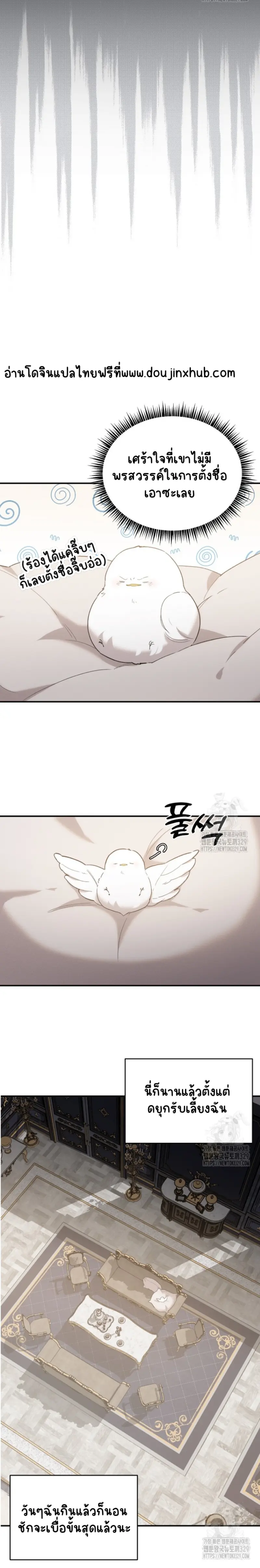 Sans titre 20320.png