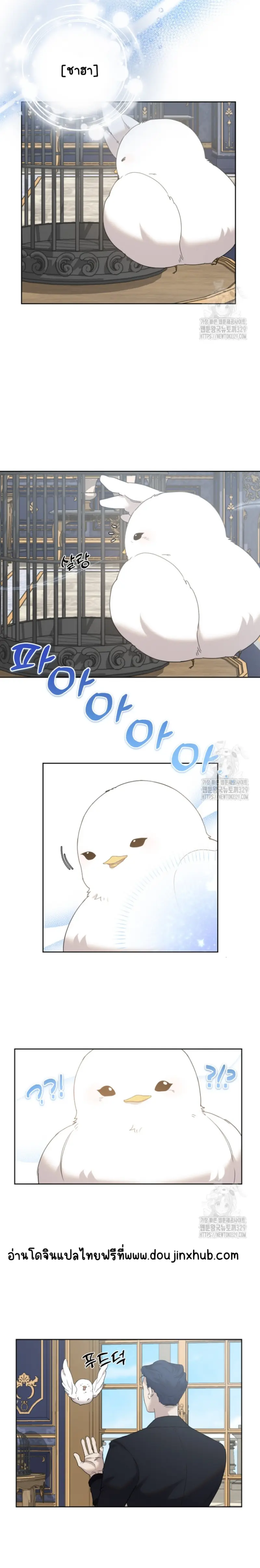 Sans titre 20287.png