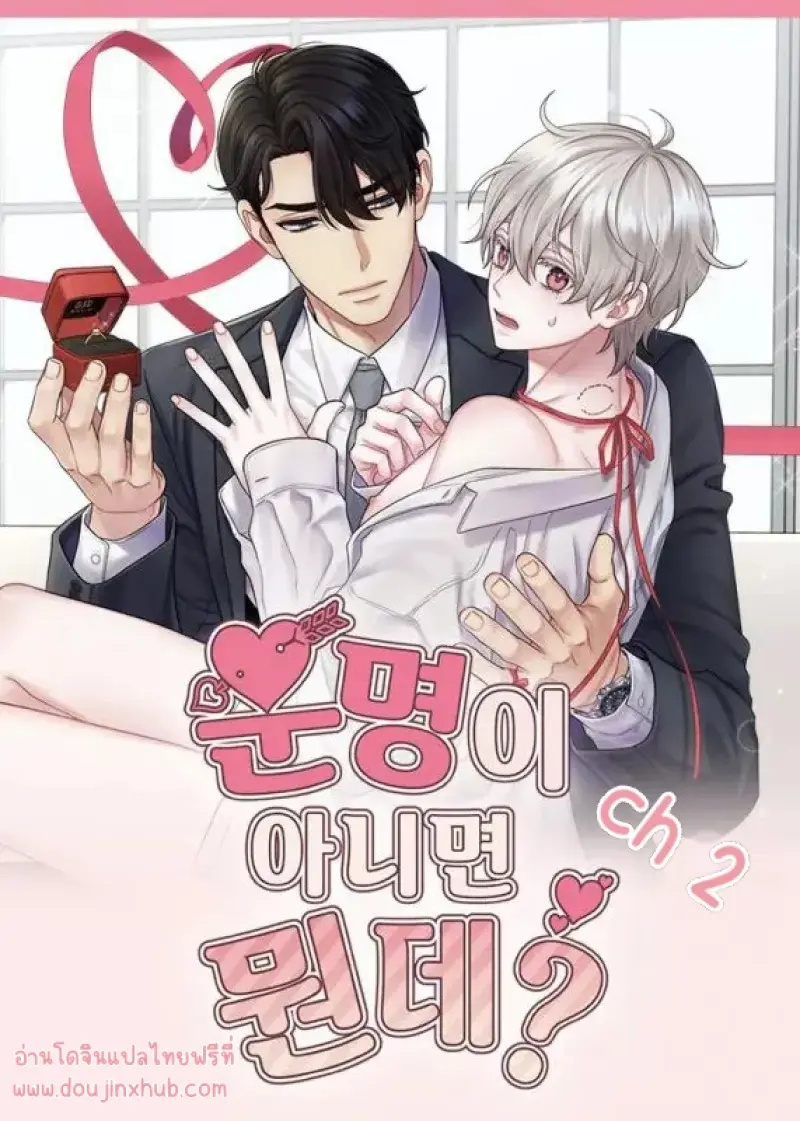 Sans titre 18621.png