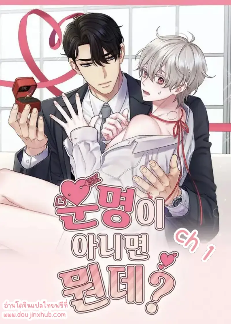 Sans titre 18490.png