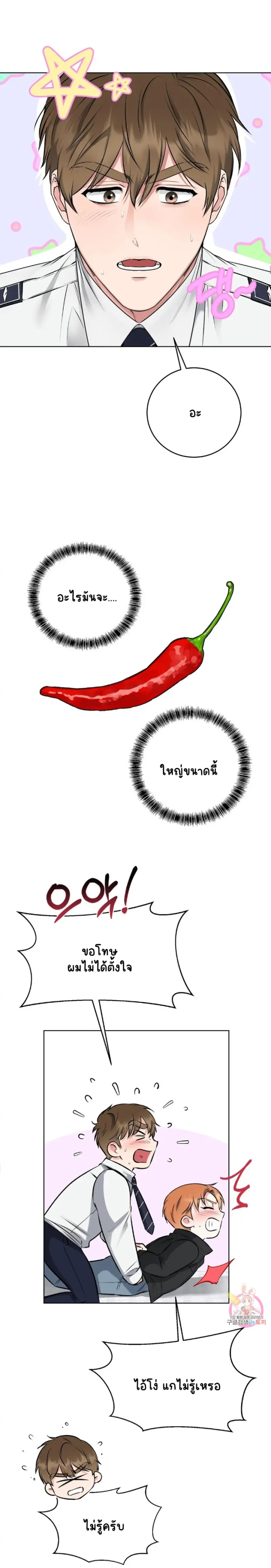 Sans titre 17071.png