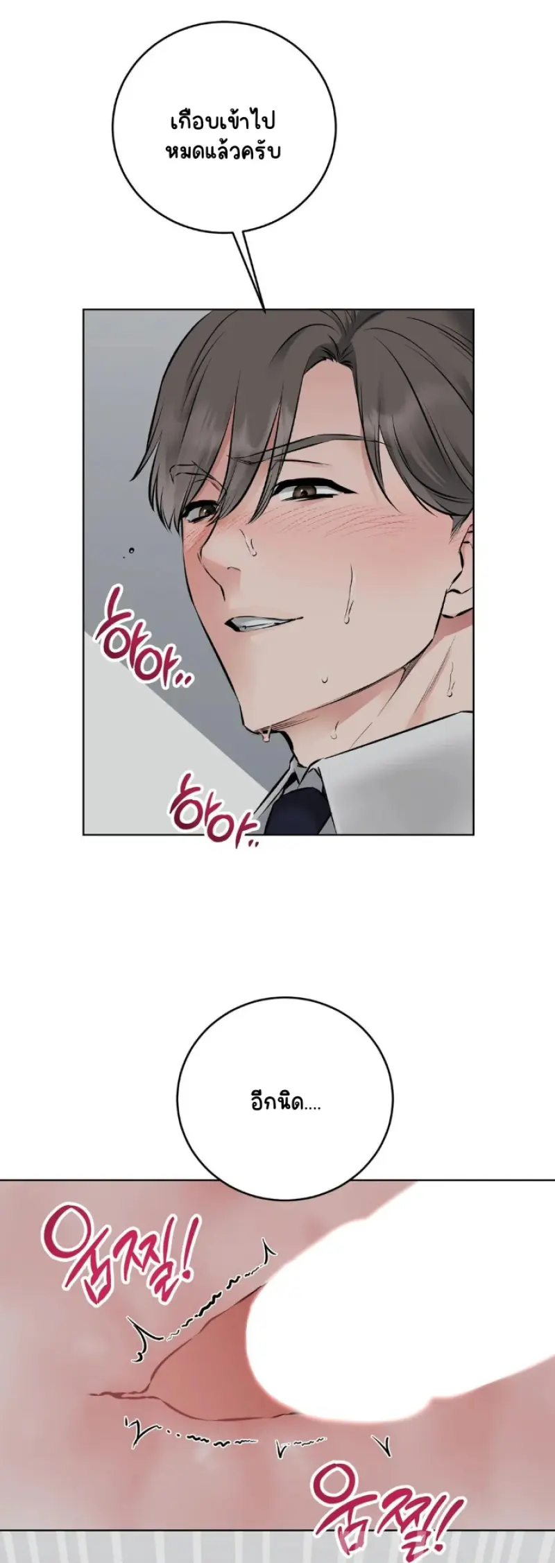 Sans titre 16980.png