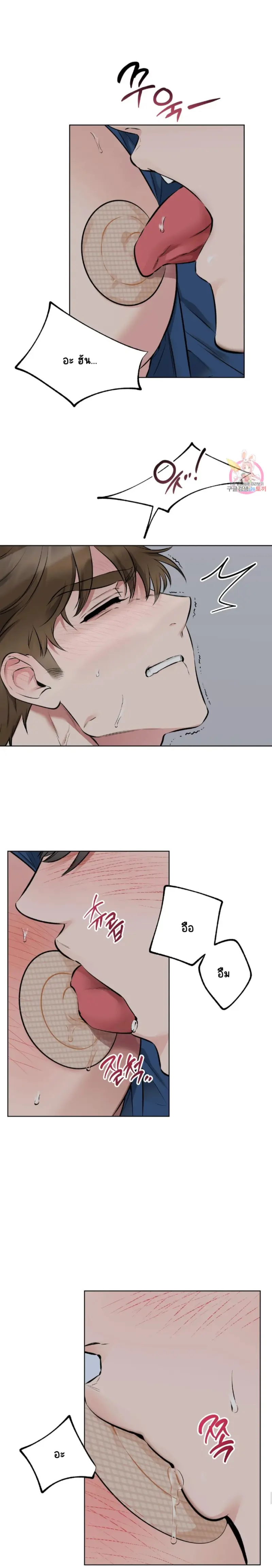 Sans titre 15877.png