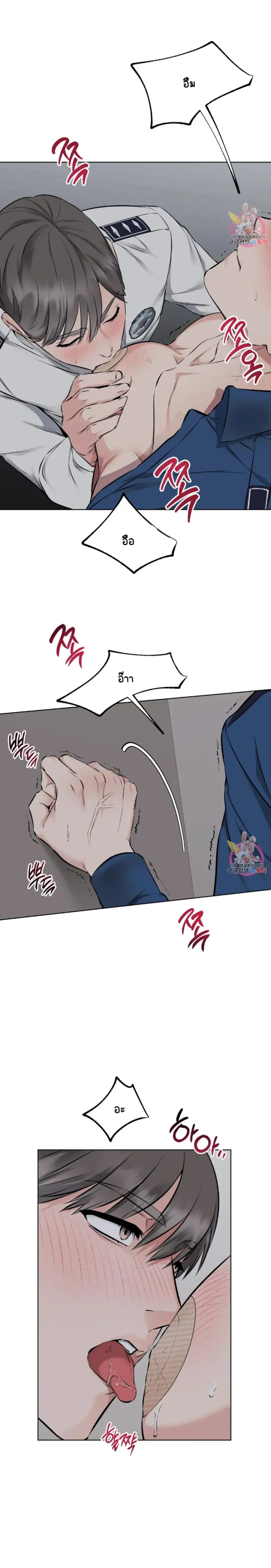 Sans titre 15878.png