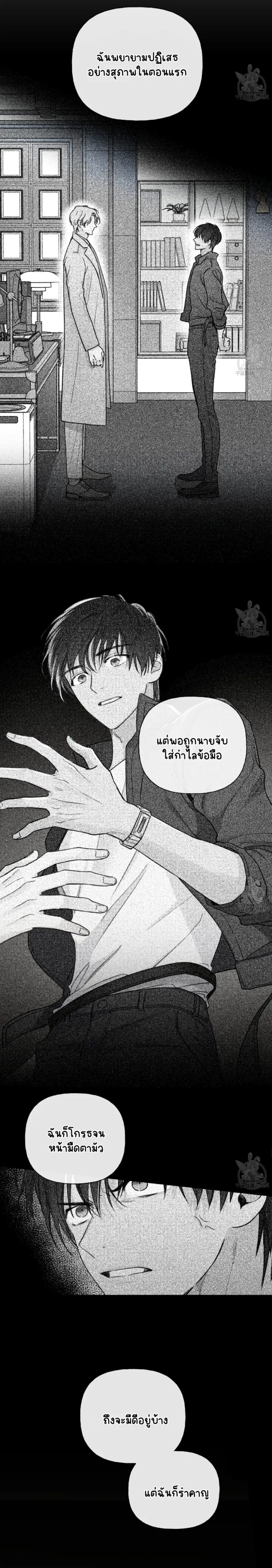 Sans titre 16045.png