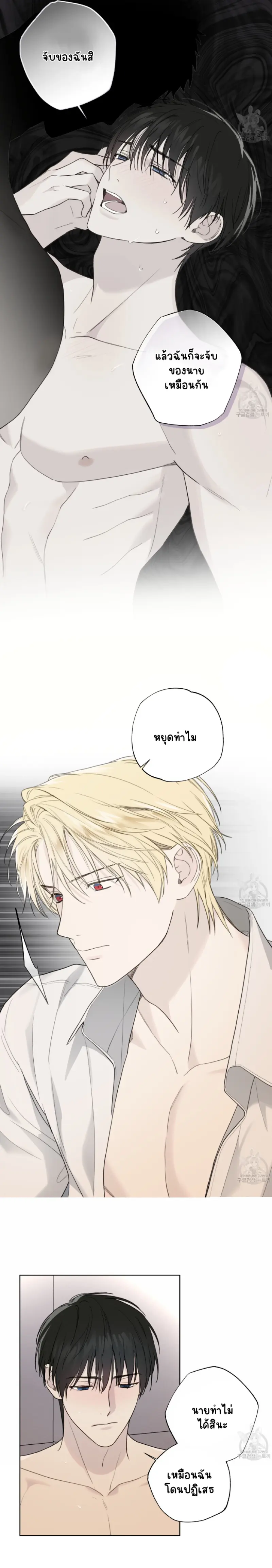 Sans titre 15488.png