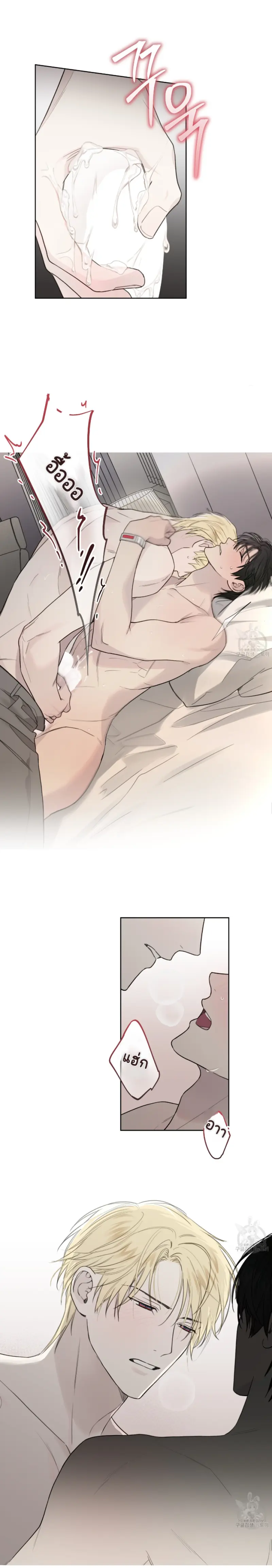 Sans titre 15495.png