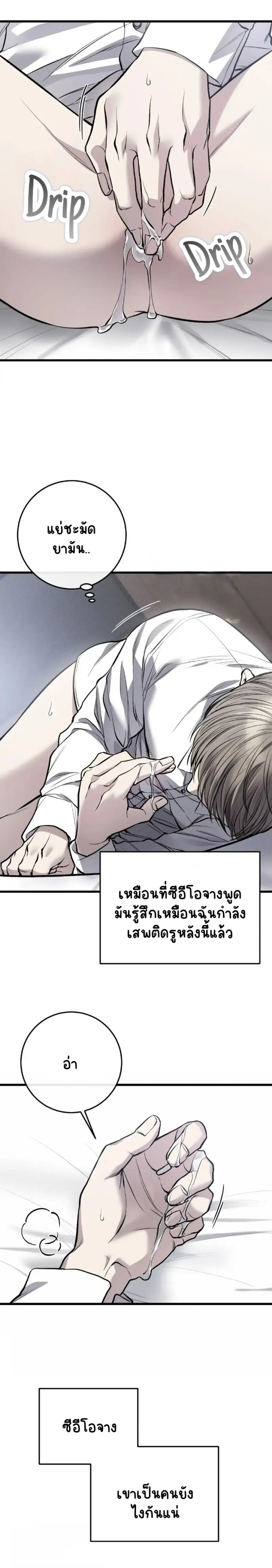 Sans titre 18138.png