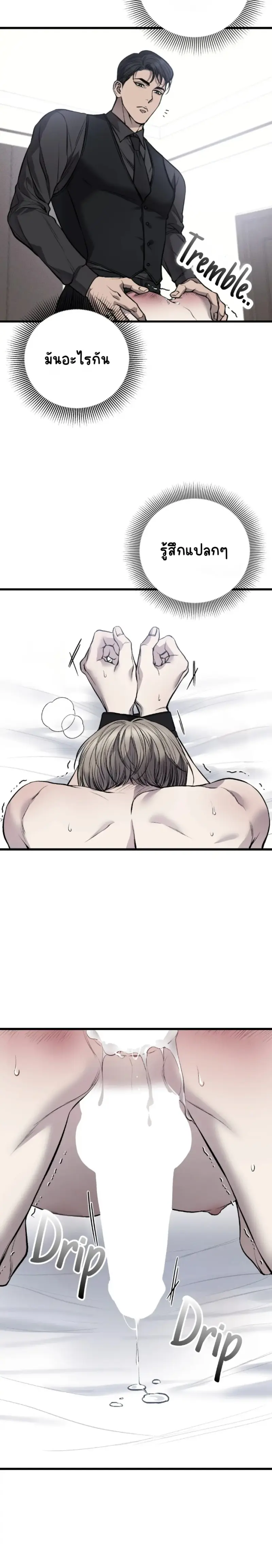 Sans titre 18153.png