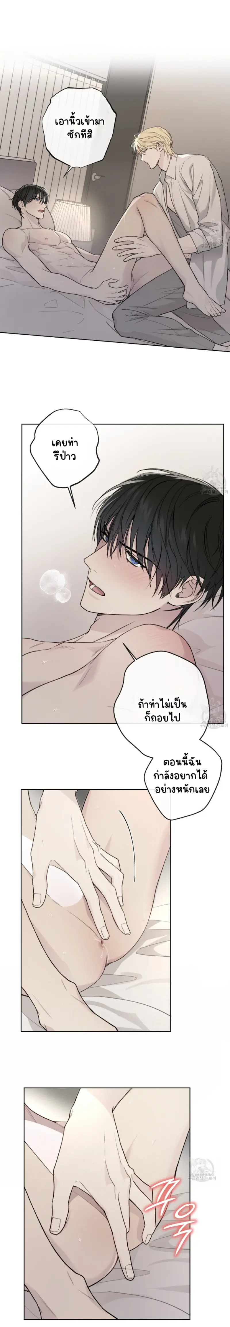 Sans titre 15029.png