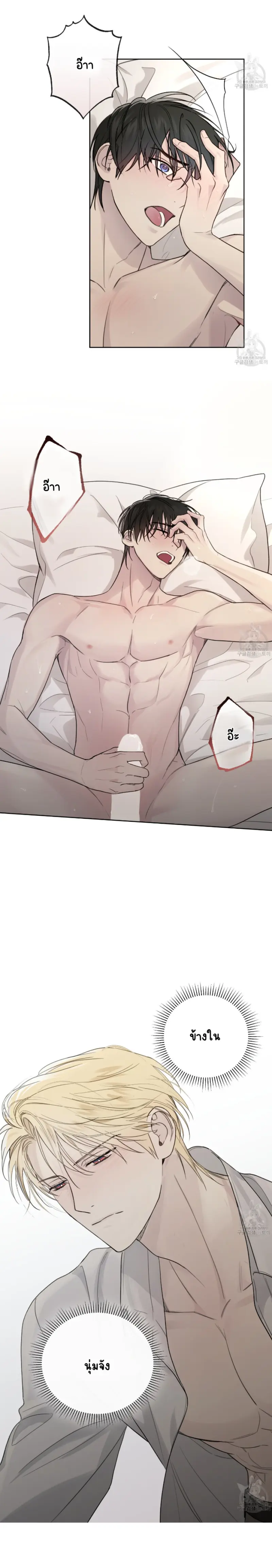 Sans titre 15030.png