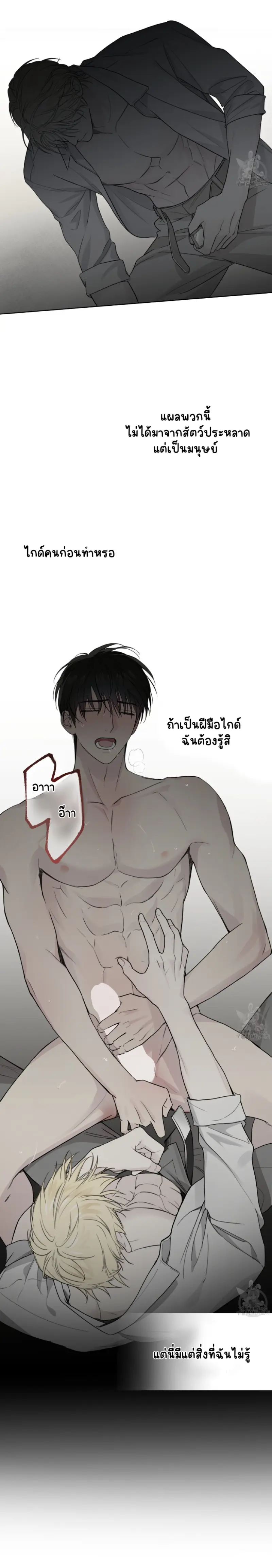 Sans titre 15032.png