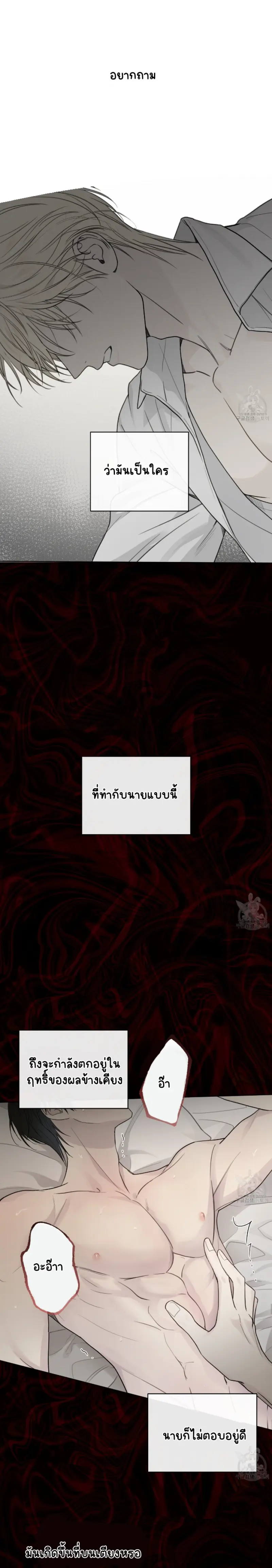 Sans titre 15033.png