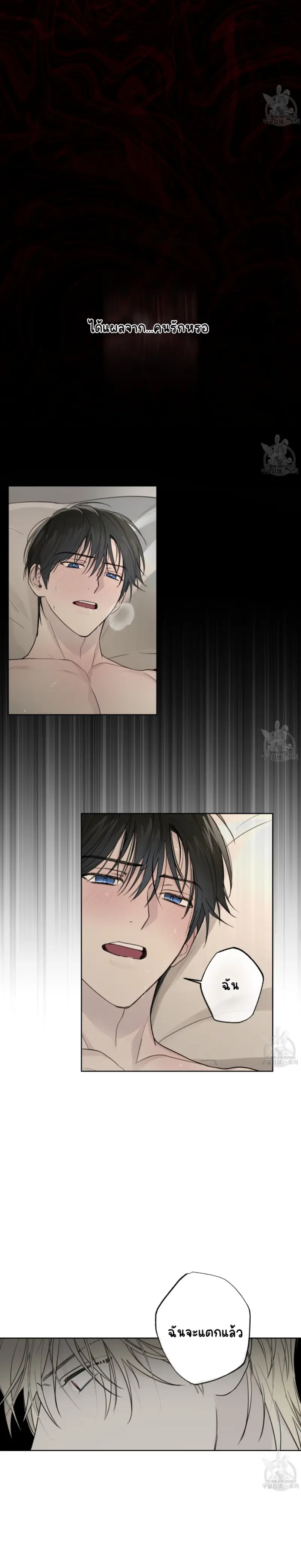 Sans titre 15035.png