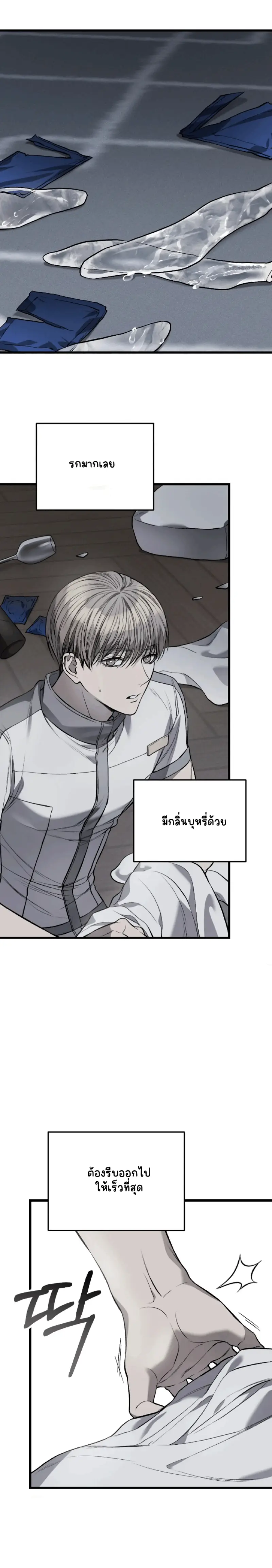 Sans titre 14896.png